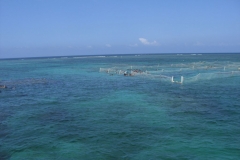 ausflug-marinarium-schnorcheln_1332
