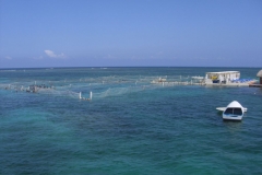 ausflug-marinarium-schnorcheln_1334