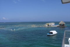ausflug-marinarium-schnorcheln_1337