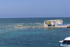 ausflug-marinarium-schnorcheln_1340