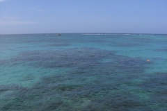 ausflug-marinarium-schnorcheln_1346