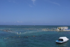 ausflug-marinarium-schnorcheln_1350