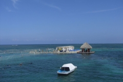 ausflug-marinarium-schnorcheln_1351