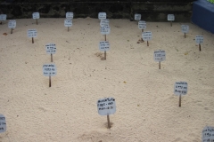 Sea-Turtle-Farm-Srilanka-028