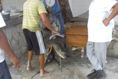 shoppingmeile-naehe-palladium_4031