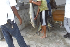 shoppingmeile-naehe-palladium_4032