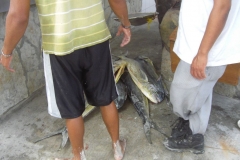 shoppingmeile-naehe-palladium_4033