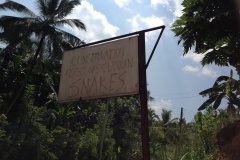 Snake_Farm-Weligama-004