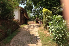 Snake_Farm-Weligama-005