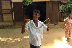 Snake_Farm-Weligama-016