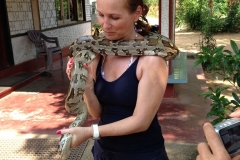 Snake_Farm-Weligama-043