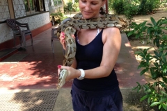 Snake_Farm-Weligama-044