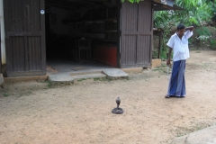 Snake_Farm-Weligama-056