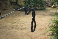 Snake_Farm-Weligama-083