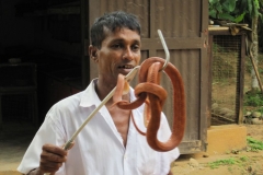 Snake_Farm-Weligama-087