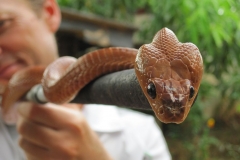 Snake_Farm-Weligama-091