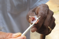 Snake_Farm-Weligama-094