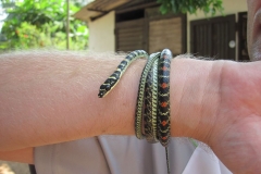 Snake_Farm-Weligama-103