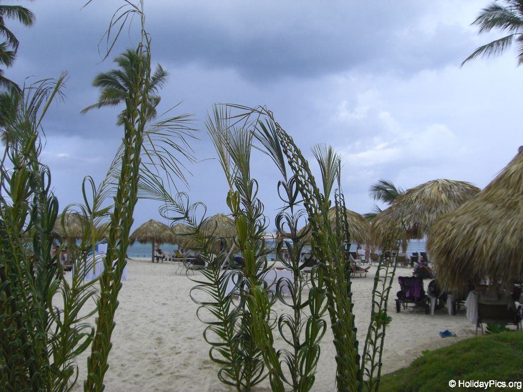 edenh-real-arena-punta-cana-strandbereich_4213