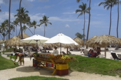 edenh-real-arena-punta-cana-strandbereich_4203