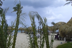 edenh-real-arena-punta-cana-strandbereich_4213