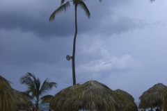 edenh-real-arena-punta-cana-strandbereich_4216