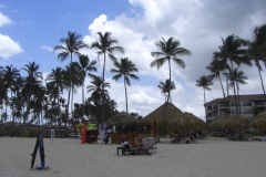edenh-real-arena-punta-cana-strandbereich_4234