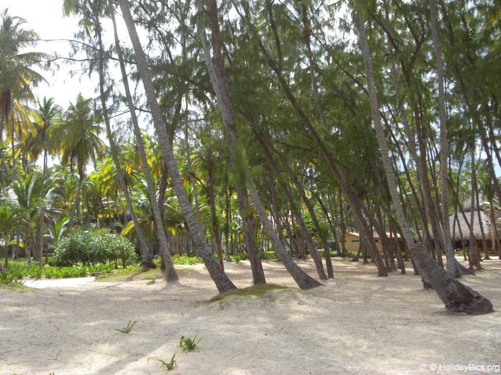 carabela-beach-resort-strandbereich_3350