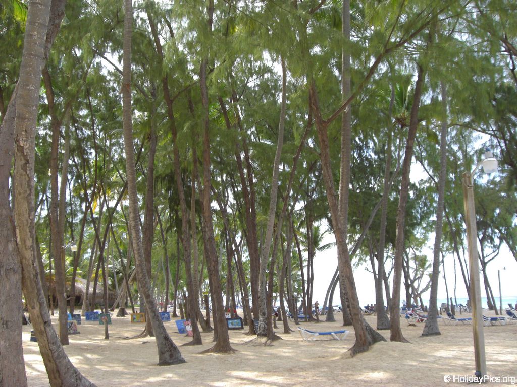 carabela-beach-resort-strandbereich_3355