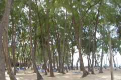 carabela-beach-resort-strandbereich_3355