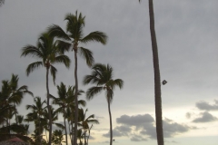 occidental-grand-punta-cana-strandbereich_2899