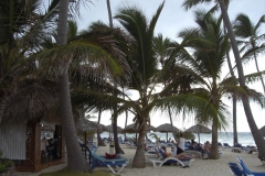 occidental-grand-punta-cana-strandbereich_2902
