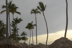 occidental-grand-punta-cana-strandbereich_2927