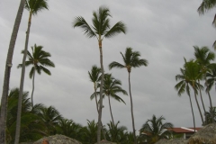 occidental-grand-punta-cana-strandbereich_2951