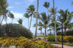 barcelo-punta-cana-strandbereich_2480