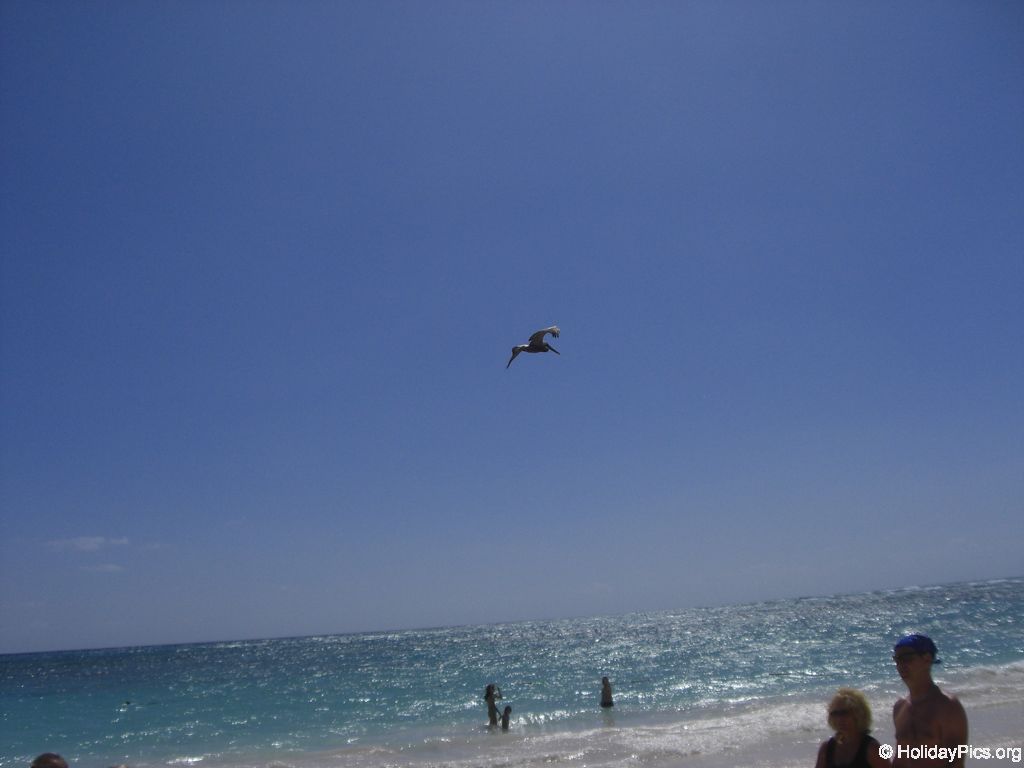 ocean-sand-resort-am-strand_1991
