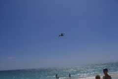 ocean-sand-resort-am-strand_1991