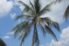 charm-churee-ko-tao-strandfoto106