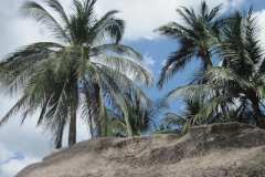 charm-churee-ko-tao-strandfoto107