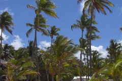 strand-bei-den-riu-resorts_1004