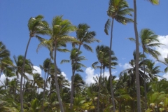 strand-bei-den-riu-resorts_1014