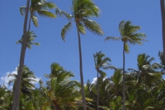 strand-bei-den-riu-resorts_1032