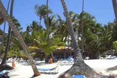 strand-bei-den-riu-resorts_1046
