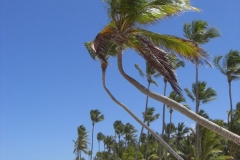 strand-bei-den-riu-resorts_1051