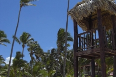 strand-bei-den-riu-resorts_1052