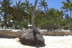 strand-bei-den-riu-resorts_1092