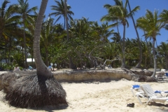 strand-bei-den-riu-resorts_1094