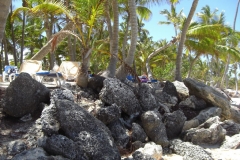 strand-bei-den-riu-resorts_1099