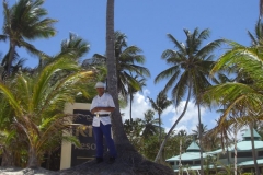 strand-bei-den-riu-resorts_1123