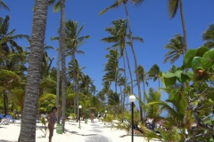 strandweg-durch-die-riu-resorts_0754